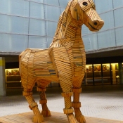 Cavall
